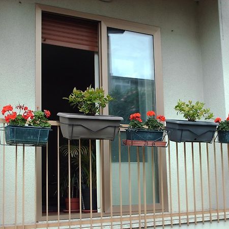 Guest House Cuore Del Friuli Udine Exteriér fotografie