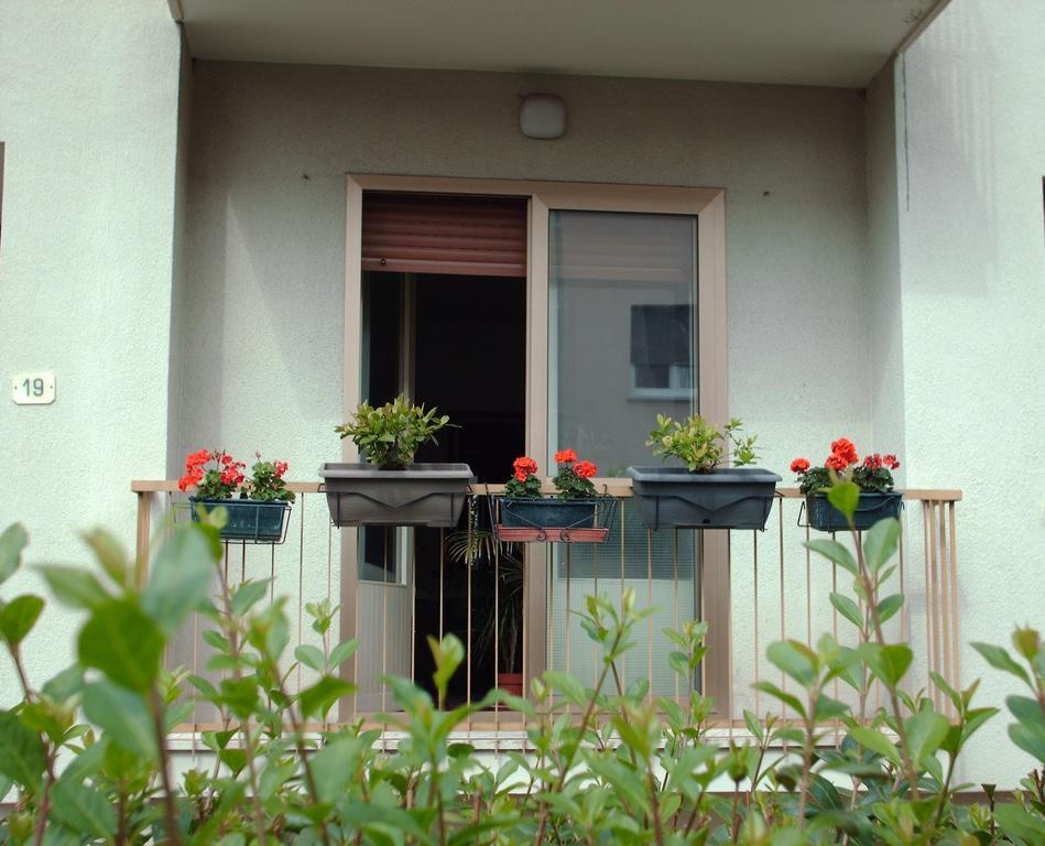 Guest House Cuore Del Friuli Udine Exteriér fotografie