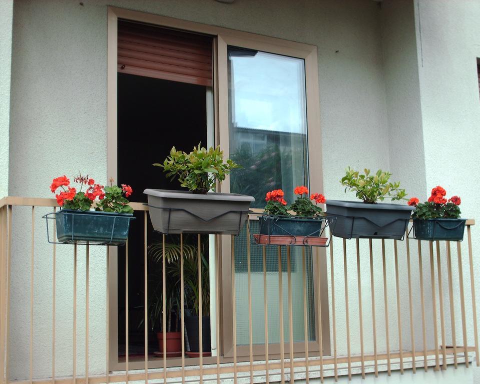 Guest House Cuore Del Friuli Udine Exteriér fotografie